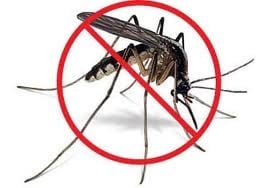 home-mosquito-control